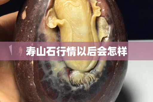 壽山石行情以后會(huì)怎樣