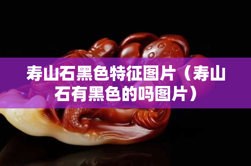 壽山石黑色特征圖片（壽山石有黑色的嗎圖片）