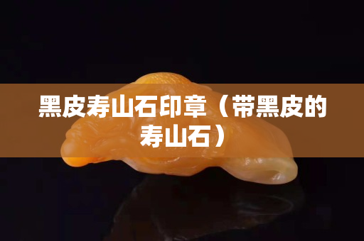黑皮壽山石印章（帶黑皮的壽山石）