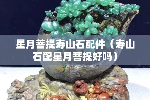 星月菩提壽山石配件（壽山石配星月菩提好嗎）