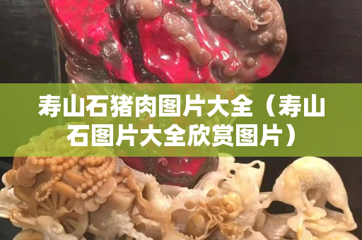 壽山石豬肉圖片大全（壽山石圖片大全欣賞圖片）