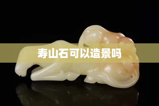 壽山石可以造景嗎