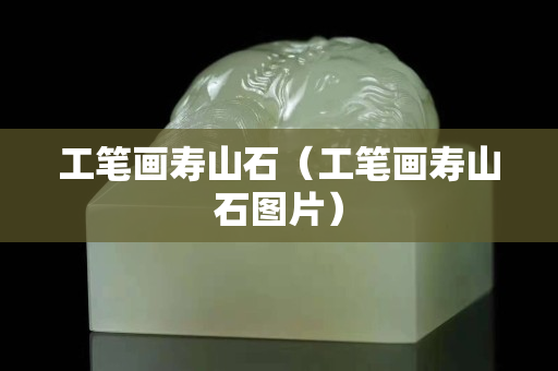 工筆畫壽山石（工筆畫壽山石圖片）