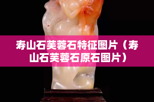 壽山石芙蓉石特征圖片（壽山石芙蓉石原石圖片）