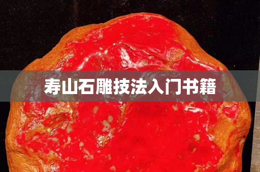 壽山石雕技法入門書籍