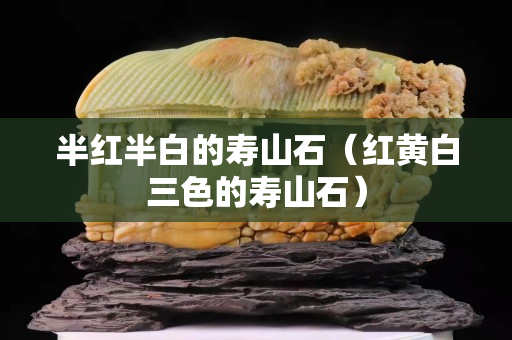 半紅半白的壽山石（紅黃白三色的壽山石）