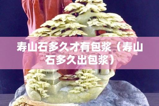 壽山石多久才有包漿（壽山石多久出包漿）