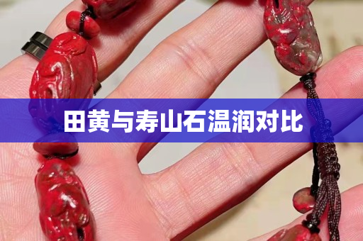 田黃與壽山石溫潤對比