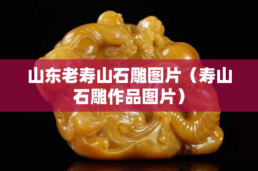 山東老壽山石雕圖片（壽山石雕作品圖片）