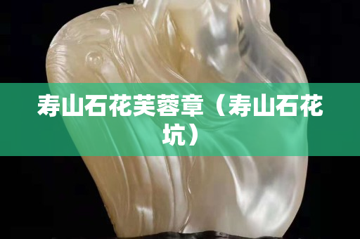 壽山石花芙蓉章（壽山石花坑）