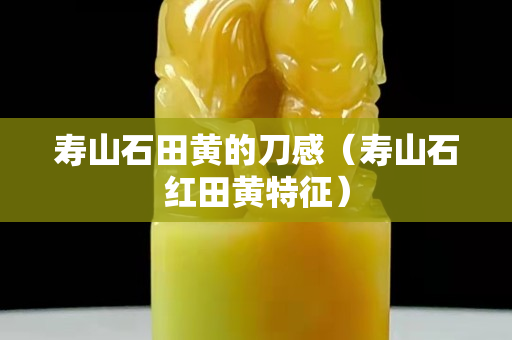 壽山石田黃的刀感（壽山石紅田黃特征）