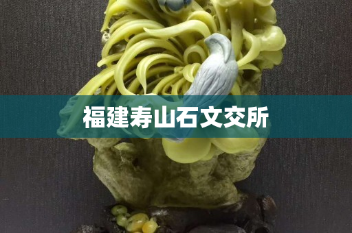 福建壽山石文交所