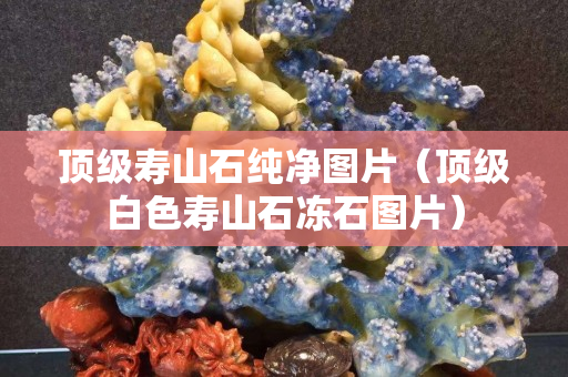 頂級(jí)壽山石純凈圖片（頂級(jí)白色壽山石凍石圖片）