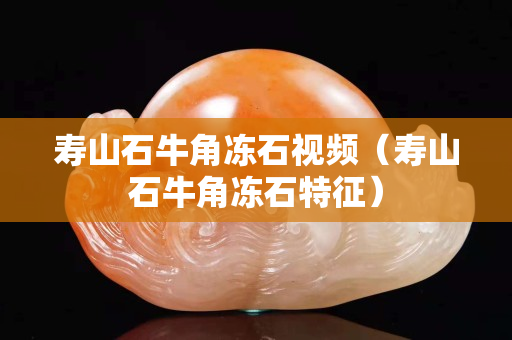 壽山石牛角凍石視頻（壽山石牛角凍石特征）