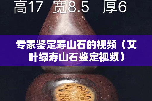 專家鑒定壽山石的視頻（艾葉綠壽山石鑒定視頻）