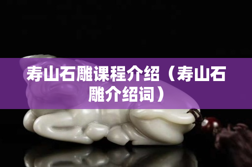 壽山石雕課程介紹（壽山石雕介紹詞）