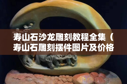 壽山石沙龍雕刻教程全集（壽山石雕刻擺件圖片及價格）