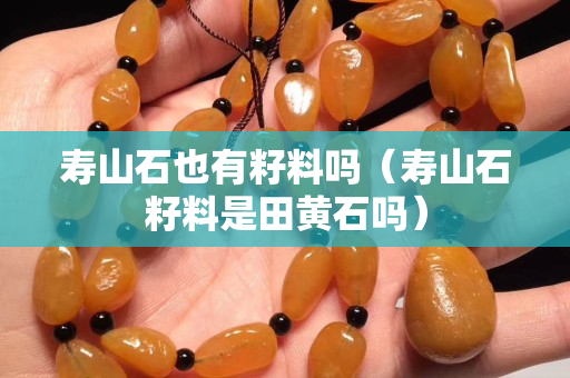 壽山石也有籽料嗎（壽山石籽料是田黃石嗎）