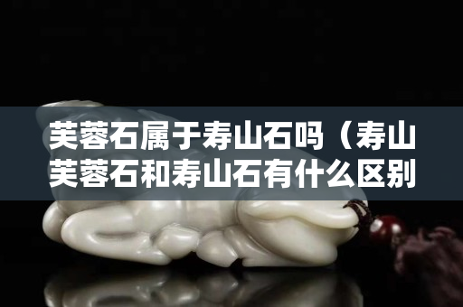 芙蓉石屬于壽山石嗎（壽山芙蓉石和壽山石有什么區別）