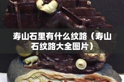 壽山石里有什么紋路（壽山石紋路大全圖片）