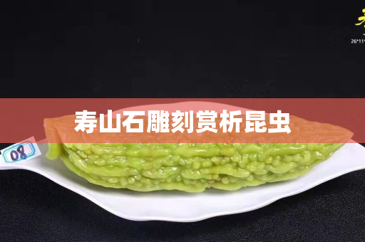 壽山石雕刻賞析昆蟲