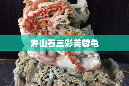 壽山石三彩芙蓉龜
