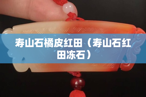 壽山石橘皮紅田（壽山石紅田凍石）