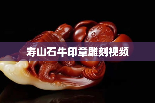 壽山石牛印章雕刻視頻