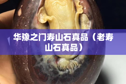 華豫之門壽山石真品（老壽山石真品）