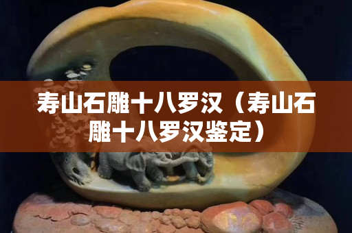 壽山石雕十八羅漢（壽山石雕十八羅漢鑒定）