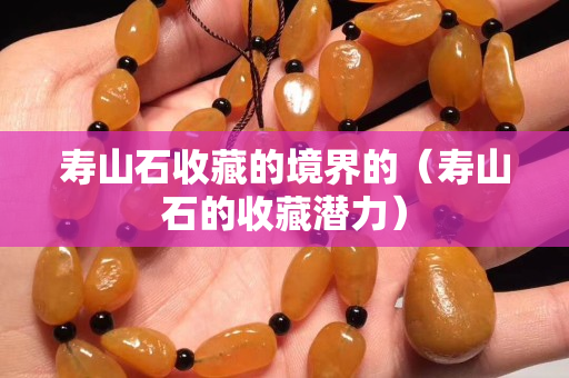 壽山石收藏的境界的（壽山石的收藏潛力）