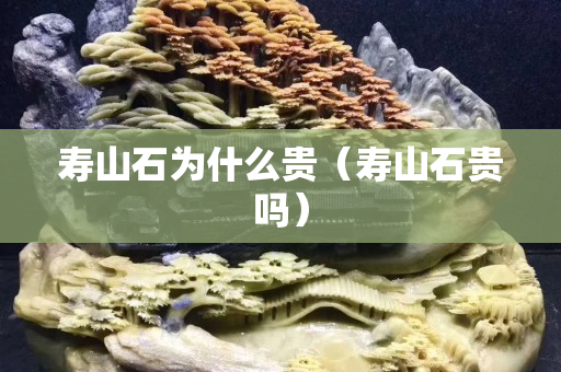 壽山石為什么貴（壽山石貴嗎）