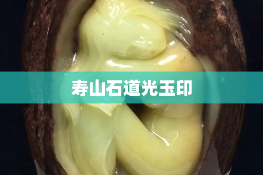 壽山石道光玉印