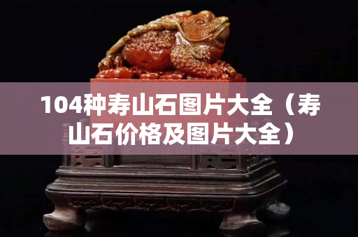 104種壽山石圖片大全（壽山石價格及圖片大全）