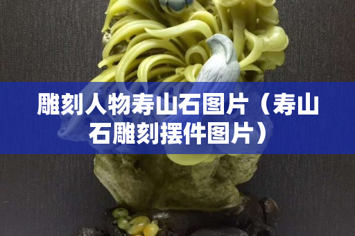雕刻人物壽山石圖片（壽山石雕刻擺件圖片）