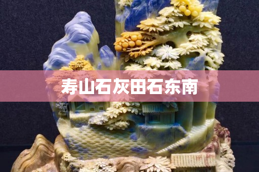 壽山石灰田石東南