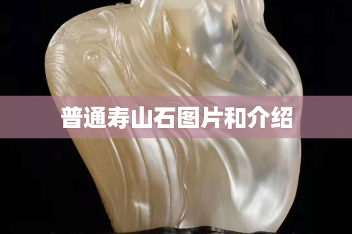 普通壽山石圖片和介紹