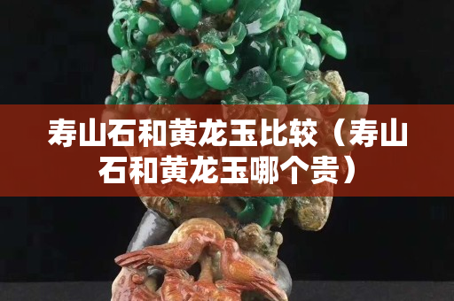 壽山石和黃龍玉比較（壽山石和黃龍玉哪個貴）