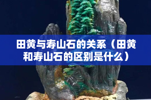 田黃與壽山石的關(guān)系（田黃和壽山石的區(qū)別是什么）