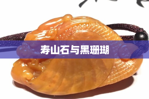 壽山石與黑珊瑚
