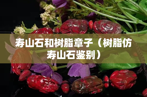 壽山石和樹脂章子（樹脂仿壽山石鑒別）