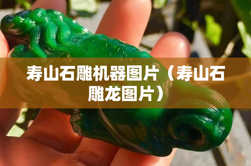 壽山石雕機器圖片（壽山石雕龍圖片）