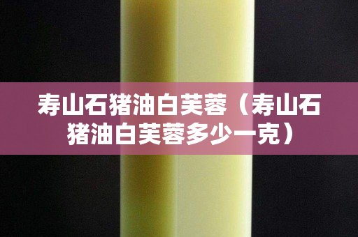 壽山石豬油白芙蓉（壽山石豬油白芙蓉多少一克）