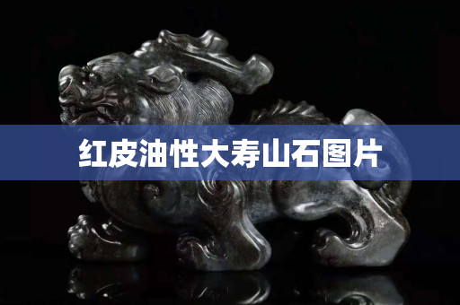 紅皮油性大壽山石圖片