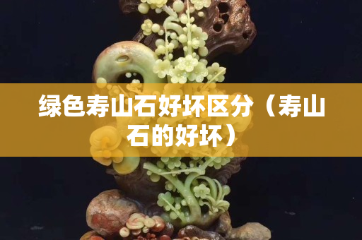 綠色壽山石好壞區分（壽山石的好壞）