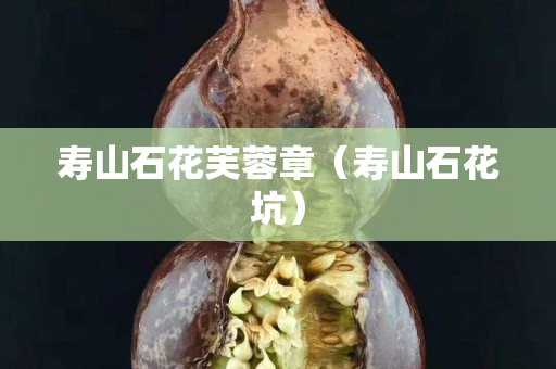 壽山石花芙蓉章（壽山石花坑）