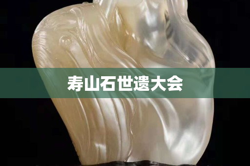 壽山石世遺大會