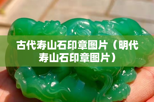 古代壽山石印章圖片（明代壽山石印章圖片）