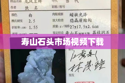 壽山石頭市場視頻下載