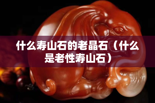 什么壽山石的老晶石（什么是老性壽山石）